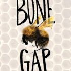 bone gap