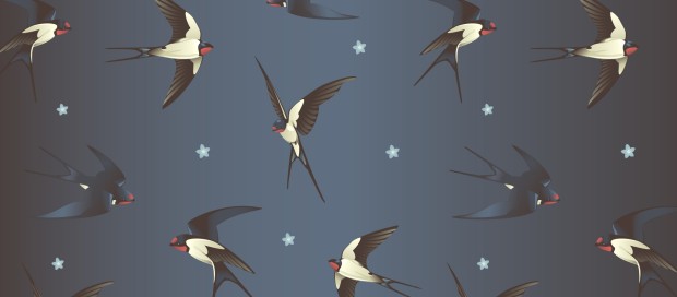 all the birds in the sky background